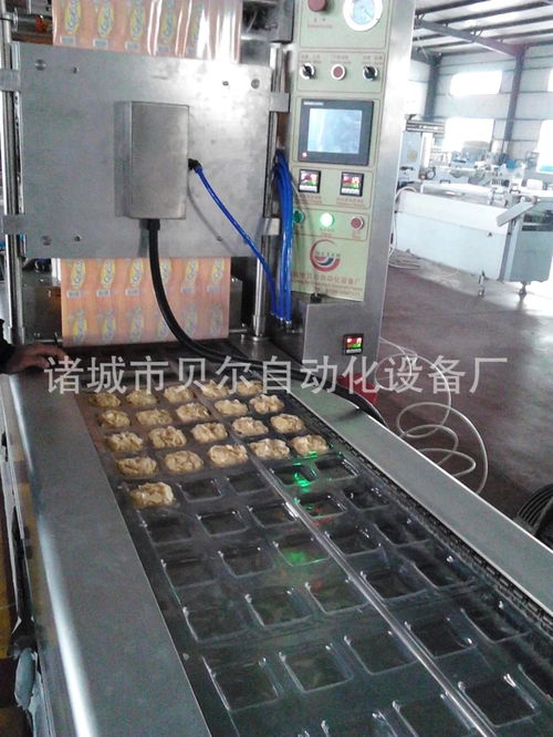 大棗包裝袋包裝機(jī)廠家供應(yīng) beier 420型抽真空快速食品包裝機(jī) 真空包裝機(jī) 全自動(dòng)包裝機(jī) 包裝機(jī)械 計(jì)量包裝機(jī)